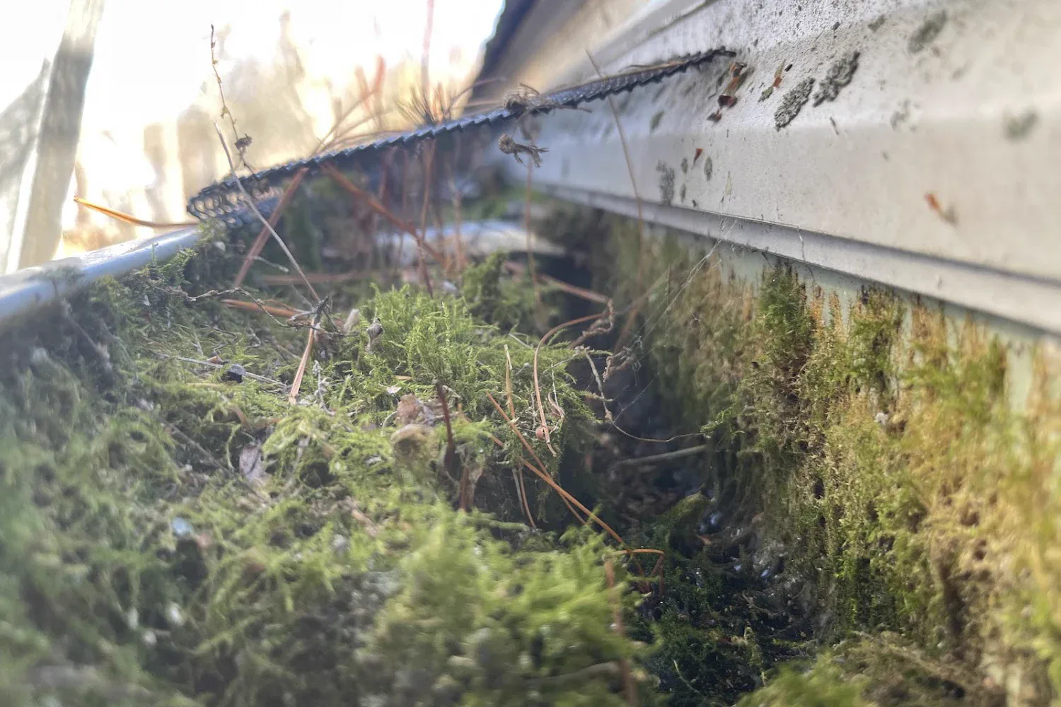 Gutter Cleaning by Callahan Exterior Cleaning in Southeast Massachusetts