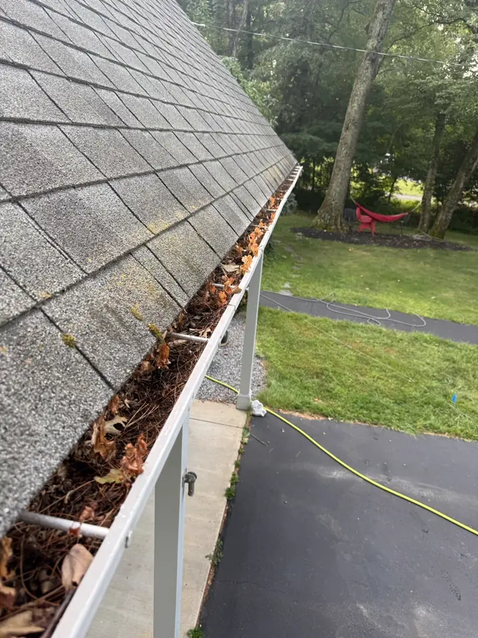 Gutter packed with pine needles before cleaning