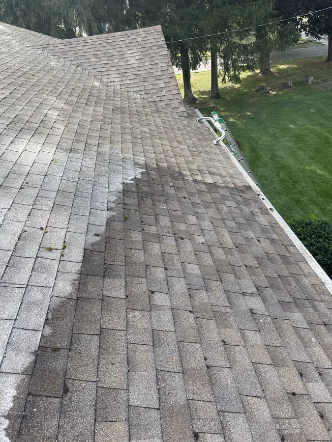 Asphalt roof half cleaned of algae, clean stripe visible