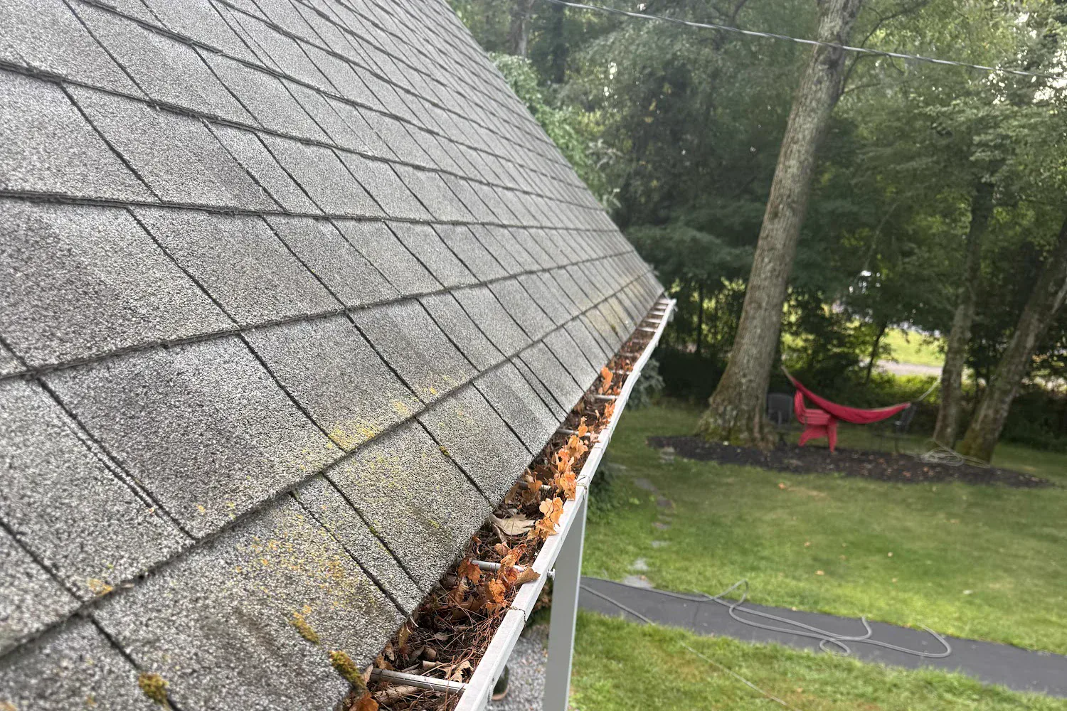 Roof Cleaning by Callahan Exterior Cleaning